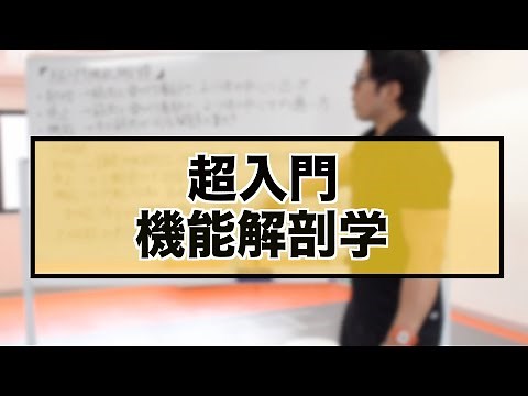 超入門機能解剖学
