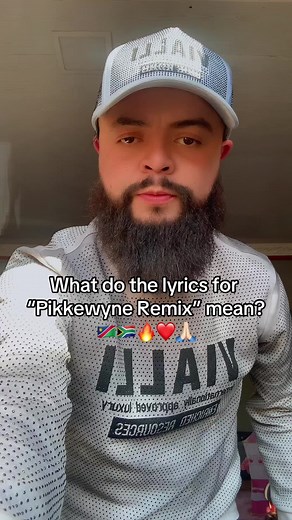 Discover the Meaning of the Pikkewyne Remix Lyrics | 32k Views on YouTube
