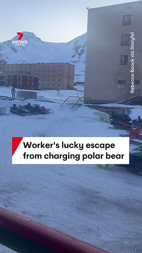 A worker has had a lucky escape from a charging polar bear in the Arctic town of Pyramiden on the Norwegian archipelago of Svalbard. The man fired a warning shot at the animal but it kept charging until he rode away on a snowmobile. #bear #bears #polar #polarbear #polarbears #arctic #arcticcircle #pyramiden #svalbard #norway #archipelago #animal #animals #nature #snow #snowmobile #7NEWS | 7NEWS Sydney