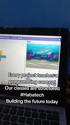 Every project teaches a programming concept.