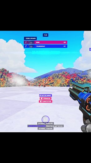 Desperate Measures for Widow HS Code OW2