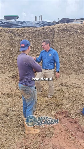 Rafael Amaral | Consultor de silagens on Instagram: "Quem trabalha com silagem de milho sabe que pequenos erros na regulagem da ensiladeira podem gerar grandes perdas no cocho. No vídeo mostramos um problema comum nas propriedades: a presença de rodelinhas de sabugo mal processadas na silagem. Esse material sobra porque o animal seleciona as partículas maiores e evita consumir partes que ainda contêm grãos. Mesmo tendo alto valor energético, esse milho acaba sendo desperdiçado. O resultado é per