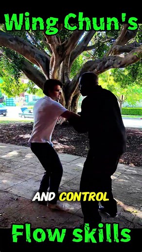 “Wing Chun’s Effortless Control” #martialarts #selfdefense #kungfu