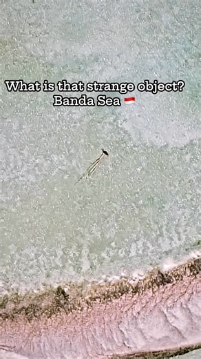 What is that strange object? 🌊 Banda Sea 🇮🇩 📍 Coordinates: 5°34’54”S 127°28’40”E 📍 Location: Banda Sea, Moluccas Islands, Indonesia 🗺️ Whether you're into uncovering secrets from above,or simply want to dive deeper into our amazing planet... Follow us and switch on your exploration mode! 🔍✨#googleearth #map #worldgeography #Reels #geography #Mystery, #Famous #Places, #Tourist #Attractions #Map #Content, #Search #Mode #On | Earth 3D