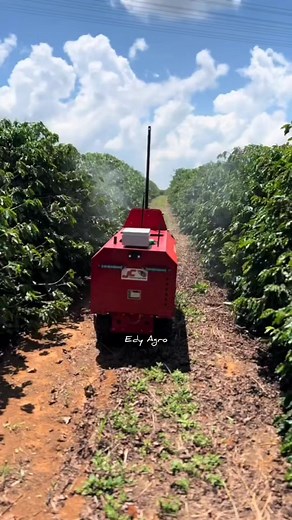 81K views · 246 reactions | Robot sprayer #reels #coffee | Edy Agro | Facebook