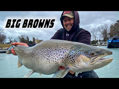 SOLO ICE FISHING For GIANT BROWNS: Kenosha Harbor