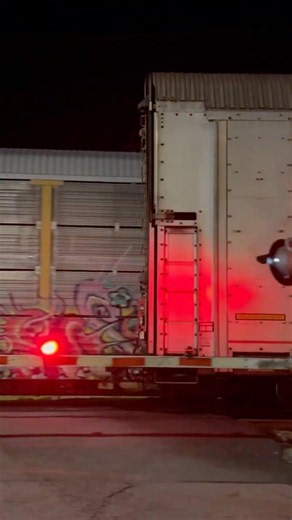 Amtrak AutoRacks & Freight AutoRacks #amtraktrain #train #railtrack #railroad #csxtrain #csx