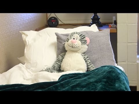 The Elmira Psychiatric Center Children's Crisis Respite Residence