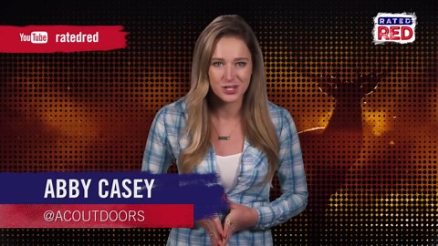 4 Essential Facts About Deer Vision