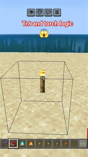 tnt abd torch logic 😱👀 #minecraft