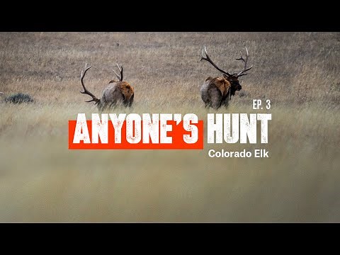 Anyone's Hunt: Colorado Rifle Elk Episode 3