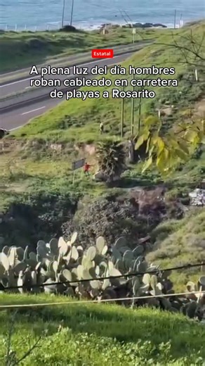 TjNoticias on Instagram: "Este domingo, tres hombres a bordo de una Ford Explorer color arena fueron captados robando cableado en la carretera Playas de Tijuana–Rosarito, a la altura del Colegio de la Frontera Norte. 🚨🔌 El hecho quedó registrado en video por un residente de la zona, quien evidenció el momento del presunto robo. 🎥👀"
