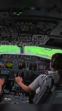 B737 landing from the cockpit #shorts #aviation