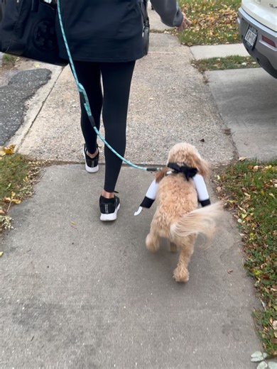 Lorraine Newman on Reels