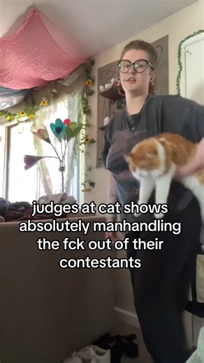 APOLLO IS THE CHILLEST CAT ON THE PLANET – NO NEED TO PANIC! 🐾😎 Everyone stay calm — Apollo may look intense, but he’s the ultimate chill king. No chaos here, just pure feline vibes. 🐱🛋️ #chillcat #ApolloTheCat #catsoftiktok #coolcat #petpersonality #catlife #funnycats #felinefriend #catvibes #nobodypanic | Emily anne