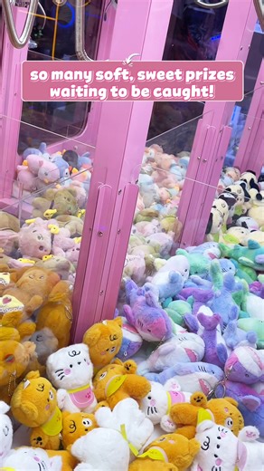 4.3K views · 28 reactions | Step into a dreamy world of pastel scoops and cuddly prizes ✨ every try feels like catching a little piece of magic 笠 #WOF #WorldOfFun #TuloyTuloyAngSayaSaWOF | World of Fun | Facebook