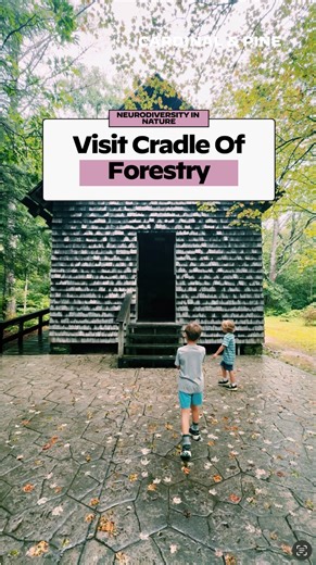 Let’s visit the Cradle of Forestry and talk about school suspensions. During the 2023–2024 school year, 245,566 students were suspended in North Carolina — despite no evidence that suspensions improve behavior or make schools safer. What they do impact are the students and families left to navigate the consequences. ⚖️ Need help? Legal Aid of North Carolina: School Discipline Resources 🌲 Hike Details: The Cradle of Forestry, located north of Brevard in Pisgah National Forest, was once home to t