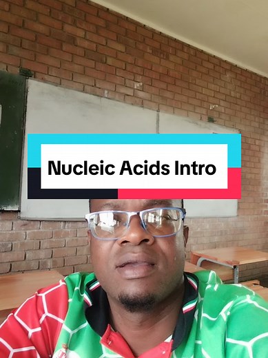 Exploring Cell Structure: Ribosomes and Nucleic Acids