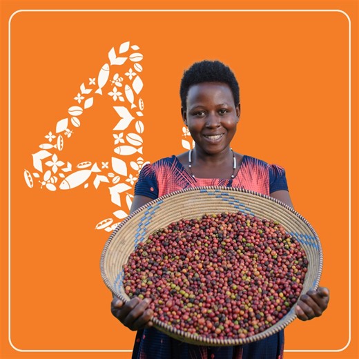 15 reactions | From sustainable coffee production to fish farming, goat rearing to climate-smart agriculture, Farm Africa has supported rural communities to grow their incomes and protect the environment for 40 years. ☕ Find out how you can support Farm Africa today at the link in the comments. #FarmAfricaat40 #40years #agriculture #farming #MondayMotivation | Farm Africa | Facebook