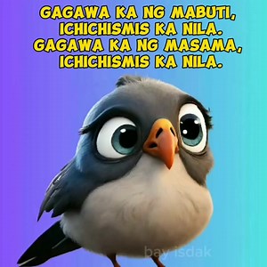 Gawin mo lang ang tama. #talkingbird #bird #birdlover #birdreels #tagalog #hugot #patama #baybisdak #fyp #highlights #funnyreels #goodvibes #reelsviral | Bay Bisdak