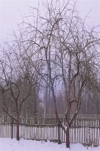 The life of a girl in a Ukrainian village | Countryside HD | Facebook