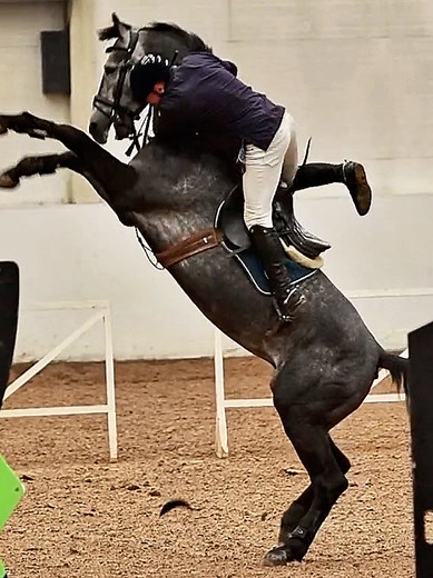 Impact of Stirrup Breaking in Equestrian Sports