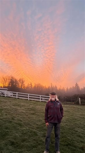 84 reactions · 21 comments | Done digging! So exhausted. In the past...