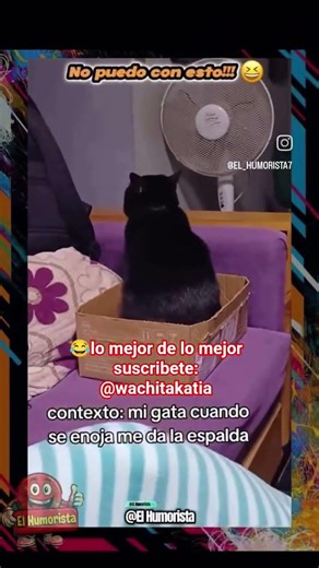 Typical Chilean | Typical of Chile | Only happens in Chile | We are the best country in Chile #humor