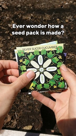 10K views · 438 reactions | Ever wondered how our seed packs are made? Follow along as we grow, harvest, process, and pack Silver Slicer Cucumber seeds. | Hudson Valley Seed Co. | Facebook