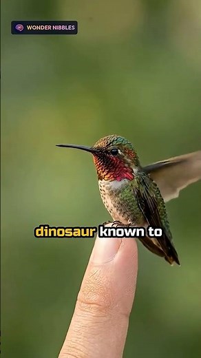 The Smallest Dinosaur Known to Exist Isn't Extinct - It Weighs Less Than a Coin