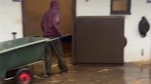 5.6K views · 136 reactions | had to pick up some of our team this morning as the road turned into a river and a normal car would probably not make it especially in a few hours time when the water gets higher , classic Alison who works here said there was a tree down which she couldn’t move so she drove over it in her 4x4 ! | Happy Horse Retirement Home | Facebook