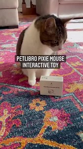 Petlibro | Sometimes I worry that my cat is bored all day long, so I bought him the pixie mouse interactive cat toy.😼 💙Made with non-toxic material... | Instagram