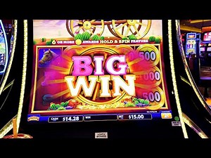 I Called The Back To Back Bonus