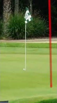 ALBATROSS FROM 244 YARDS?! 🤯