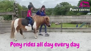 25 reactions · 11 comments | Miniature ponies, for your little peeps! Pony rides all day every. Make sure you book your child's ride on arrival at reception. We have upto 140 spaces everyday! | The Miniature Pony Centre | Facebook
