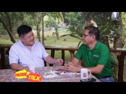 CHICKEN TALK: JOEY SY