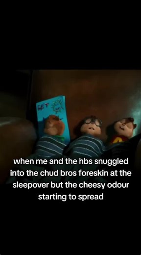 Snug as a Bug: Sleepover Adventures with Friends