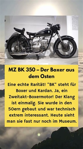 Ein 2-Takt-BOXER Motor? (Extrem selten!) 🏍️🔊