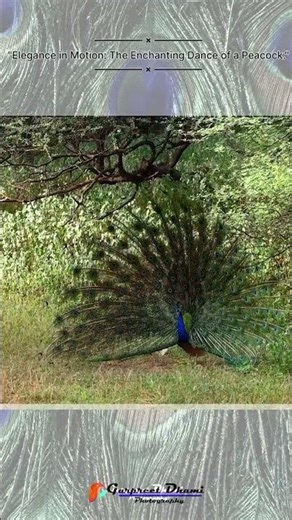 The graphers #love #peace #quotes #knowledge #motivation #life #facts