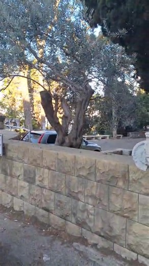 80's BHS Kids! Do you remember the famous BHS 7affeh? | BHS OSA