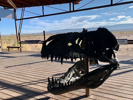 Visit Big Bend: Fossil Discovery Exhibit at Big Bend National Park