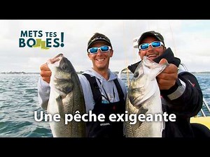 La pêche du bar sur les meilleurs spots de Bretagne Sud