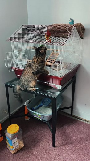 Vere (@vereritarivera)’s videos with sonido original - Vere