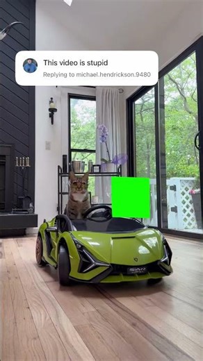 Cat Driving Lamborghini meme - Green Screen