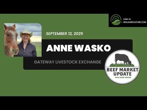 Beef Market Update: Fed cattle prices steady, live cattle movement surprises in latest report