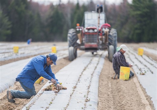 How do Canadians feel about the temporary foreign worker program? | Power & Politics