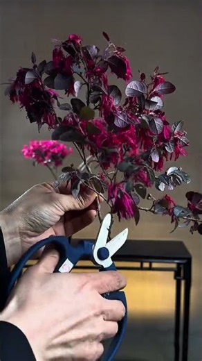 A Hidden Spring: Discover the Secret Beauty in a Bottle