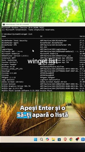 Update all Windows applications using just 3 words