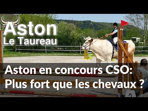 Premier Concours de CSO