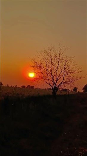 sun set view । evening time #farmerslife #khetibadi #love #trending #viral